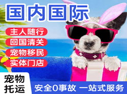 徕宁航空快递国际宠物托运 【国